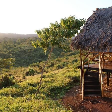 Crater Forest Tented Lodge كاراتو المظهر الخارجي الصورة