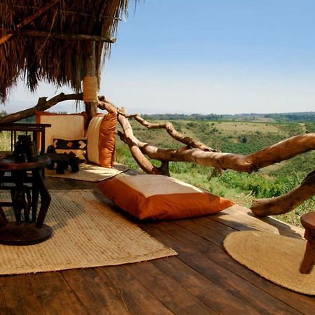 Crater Forest Tented Lodge كاراتو المظهر الخارجي الصورة