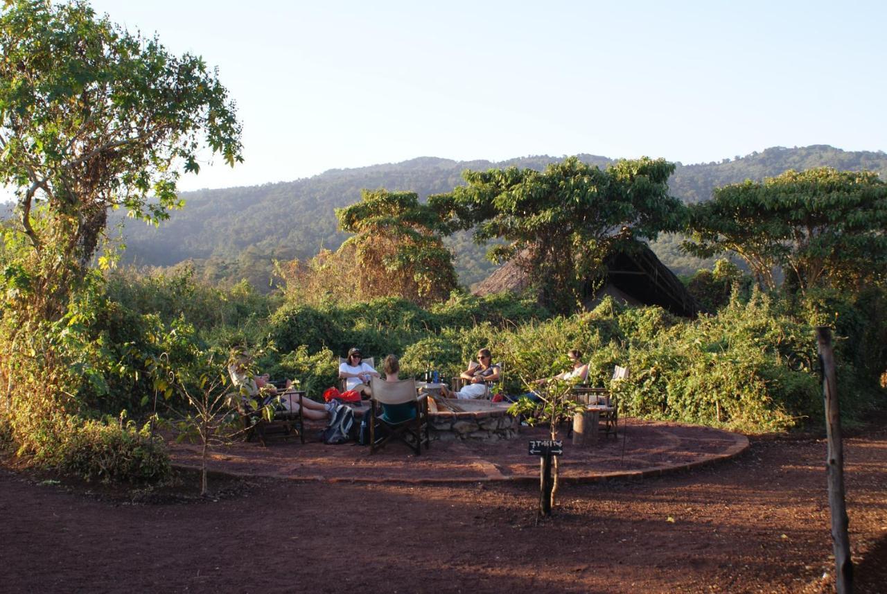 Crater Forest Tented Lodge كاراتو المظهر الخارجي الصورة