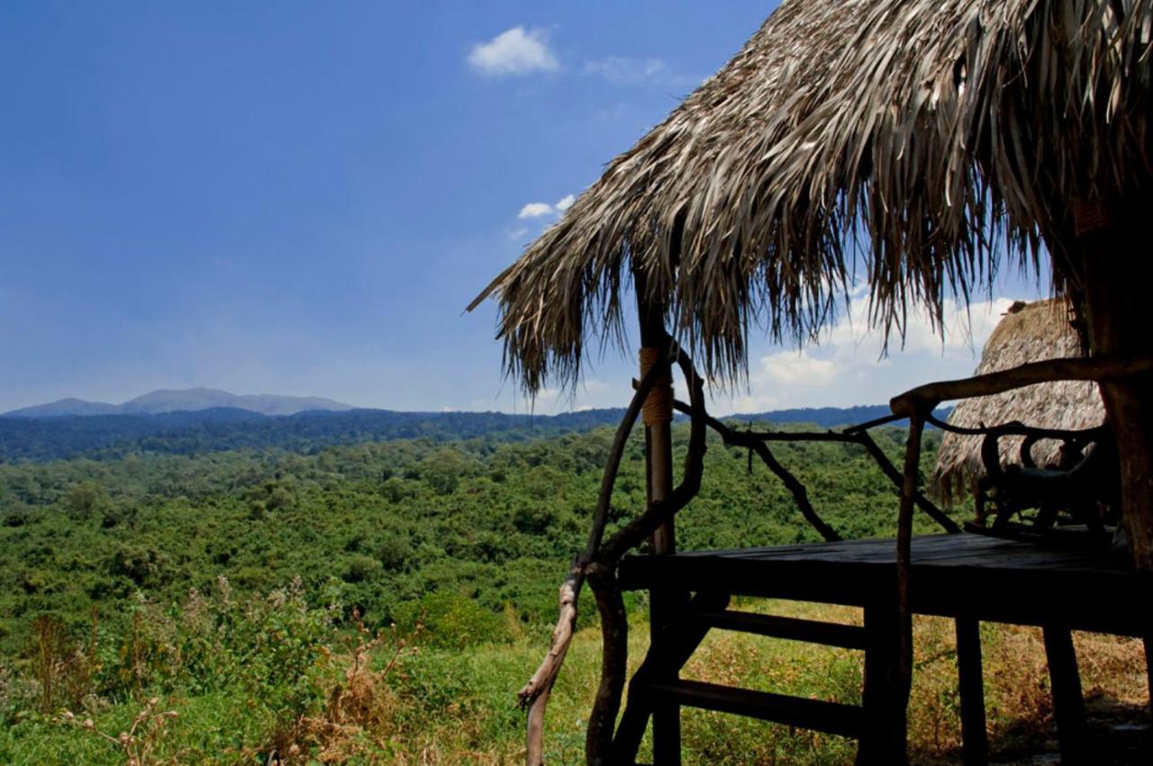 Crater Forest Tented Lodge كاراتو المظهر الخارجي الصورة