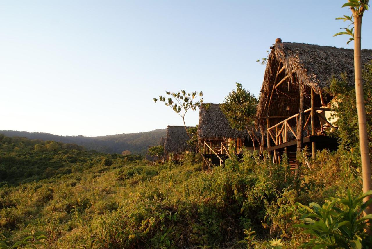 Crater Forest Tented Lodge كاراتو المظهر الخارجي الصورة